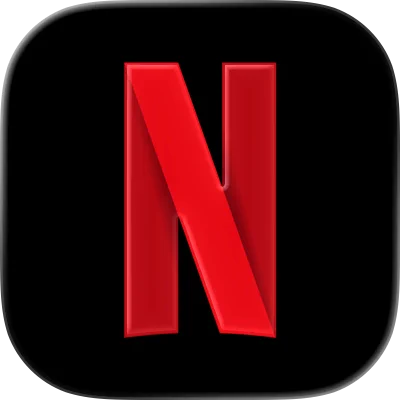 Netflix Subscription